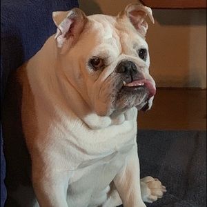 Meet your Posher, Chuck